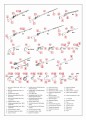 Instruction(43)-2.jpg