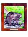 FUTRZAKI nutria kolor.jpg