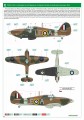 2138-12.jpg
