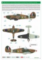 2138-13.jpg