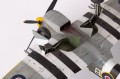 82121d-17.jpg