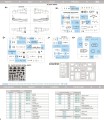 82182-02.jpg