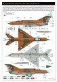 8238-17.jpg