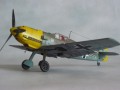 8263-5.jpg