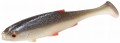 PMRFR-10-ROACH.jpg