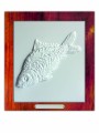 karp.jpg