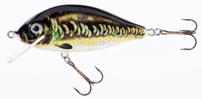 WOBLER JAXON Holo Select KARAŚ 11cm/39g [PŁYWAJĄCY] - KA [VJ-KA11FKA] 