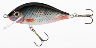 WOBLER JAXON Holo Select KARAŚ 5,5cm/6g [PŁYWAJĄCY] - D [VJ-KA6FD] 