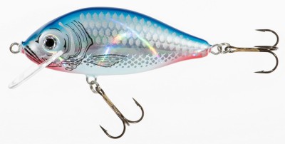 WOBLER JAXON Holo Select KARAŚ 5,5cm/6g [PŁYWAJĄCY] - SN [VJ-KA6FSN] 