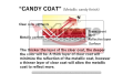 candy (1).png
