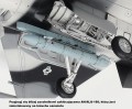 61106-5.jpg