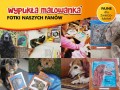 prezentacja wypukla malowanka na ALLEGRO8_800x600.jpg