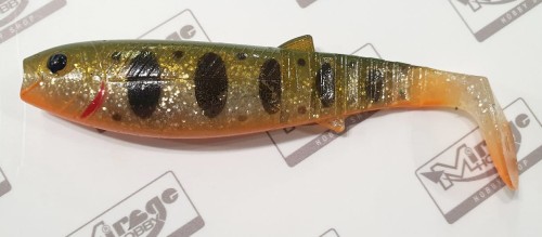 baeb5796d103cebf0faa3e4f5d6e2f24