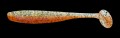 BAS25-L491.jpg