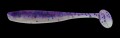BAS25-L653.jpg