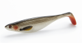 fat_lively-roach.png