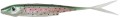 kiddy-rainbow-minnow.jpg