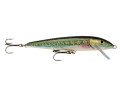 floater-minnow.jpg