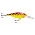 sr-hottiger.jpg