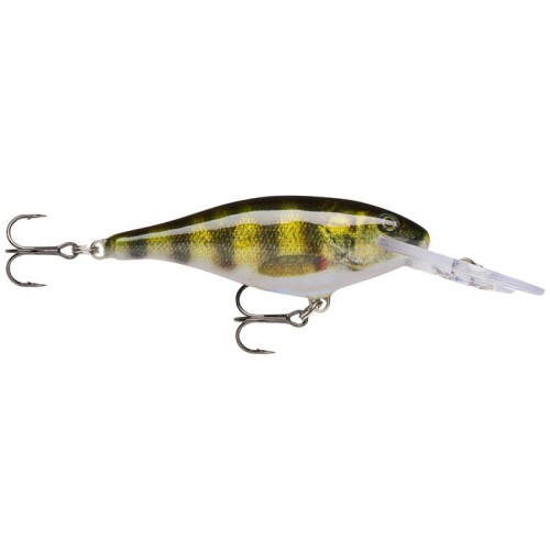 sr-liveperch.jpg