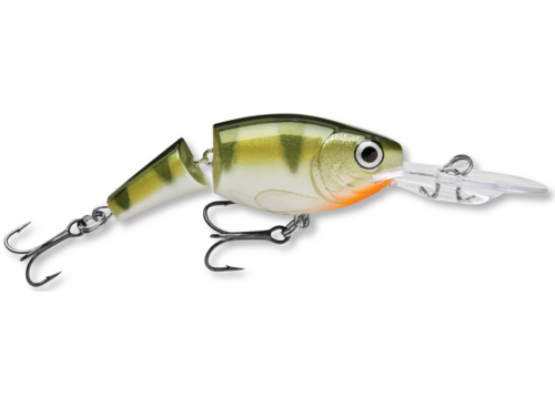 jointed-yellowperch.png