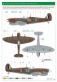 11162-25.jpg