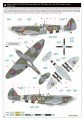 8281-12.jpg