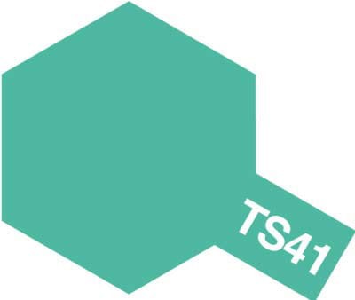 ts41.jpg