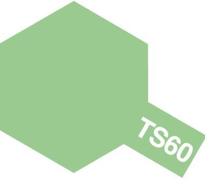 ts60.jpg