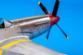 82102-11.jpg