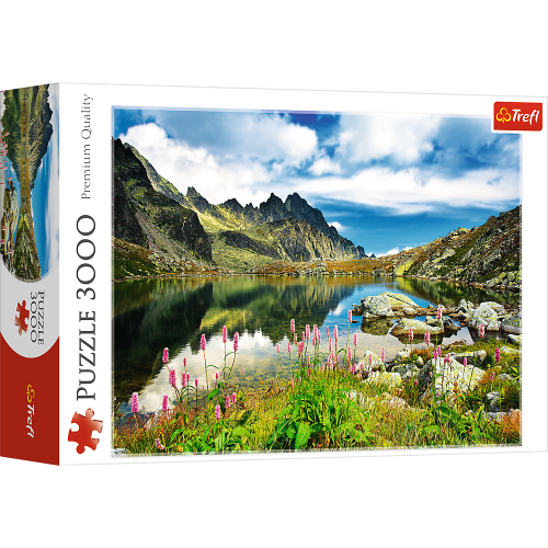 TREFL_33031_Staroleśniański-Staw-Tatry-Słowacj_01.png