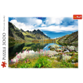 TREFL_33031_Staroleśniański-Staw-Tatry-Słowacj_02.png