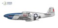 70041-5.jpg