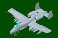 81796-3.jpg