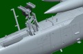 81796-7.jpg