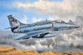 87256-2.jpg