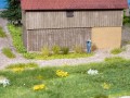 07011-1.jpg