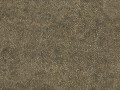 60326n.jpg