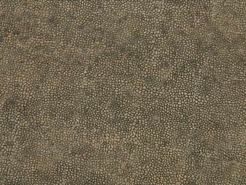 60326n.jpg