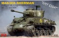 RM5028.jpg