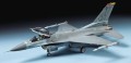 60786-1.jpg
