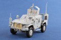 63536-10.jpg