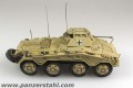 PANZERSTAHL_88011_SdKfz2341-6PzDiv1945_07.jpg