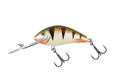 WOBLER SALMO HORNET 6cm/10g - NORDIC PERCH [PŁYWAJĄCY] [QHT1024]