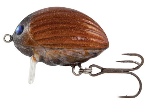 QBG009.jpg