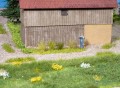 07042.jpg