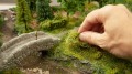 bush3.jpg