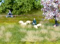 07402.jpg