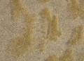 07474-1.jpg