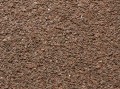 09370.jpg